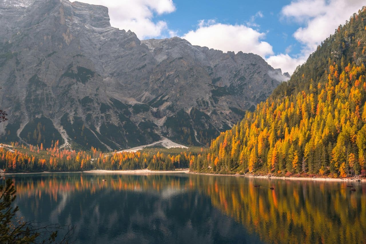 foliage trentino (1)
