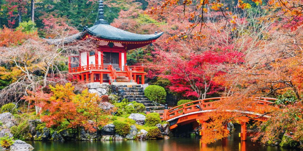 GIAPPONE IN AUTUNNO