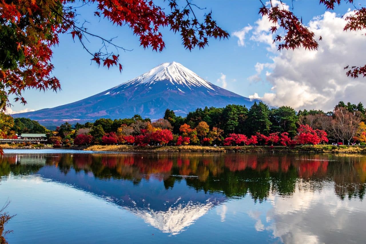 foliage monte Fuji