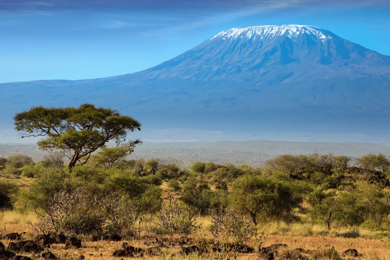 Kilimangiaro
