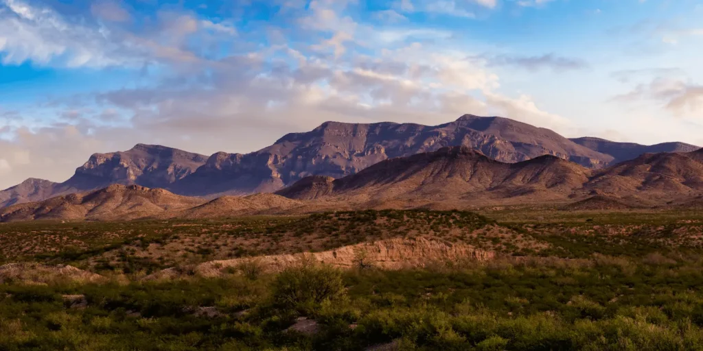 new mexico