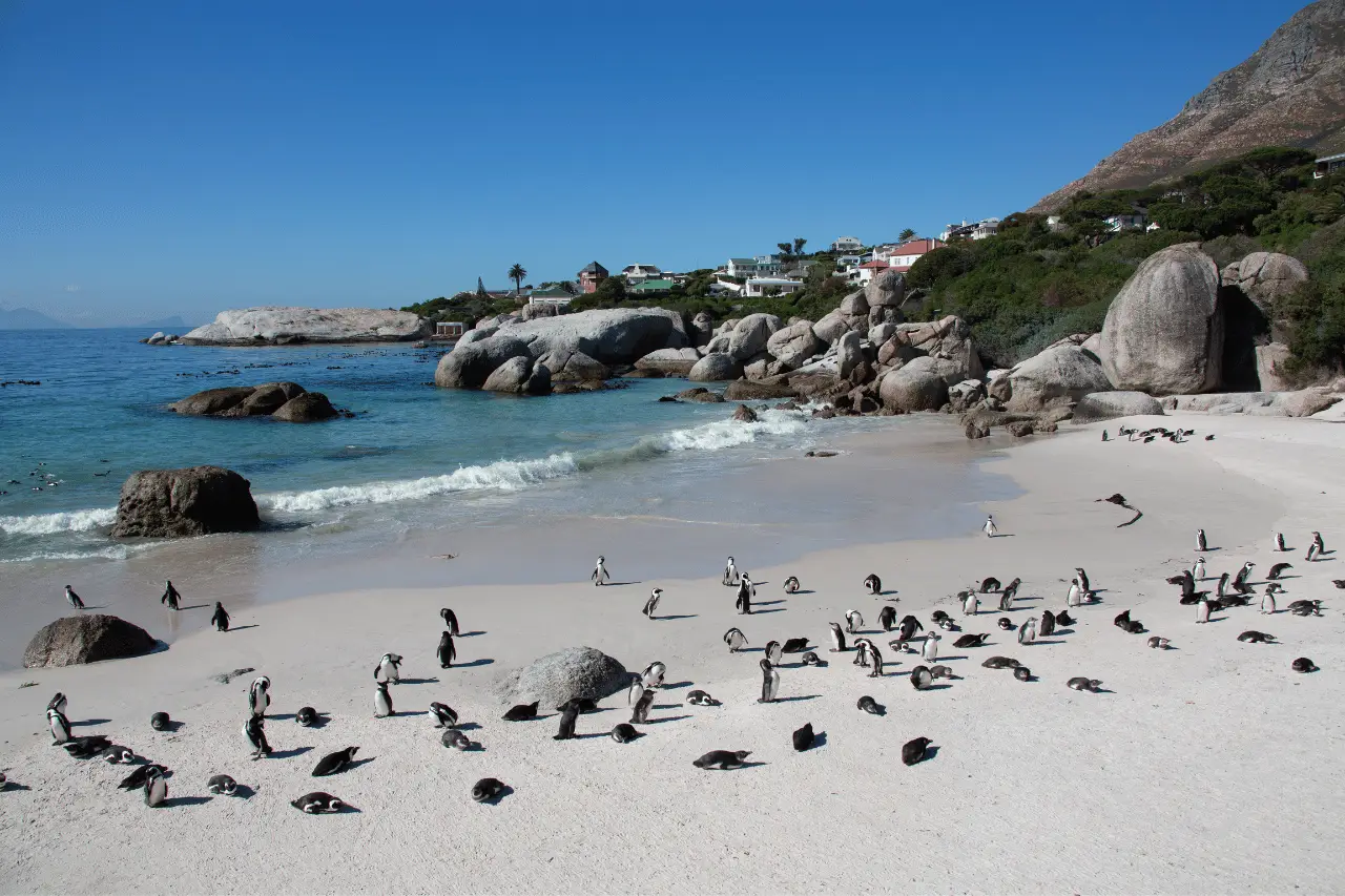 Boulders Beach