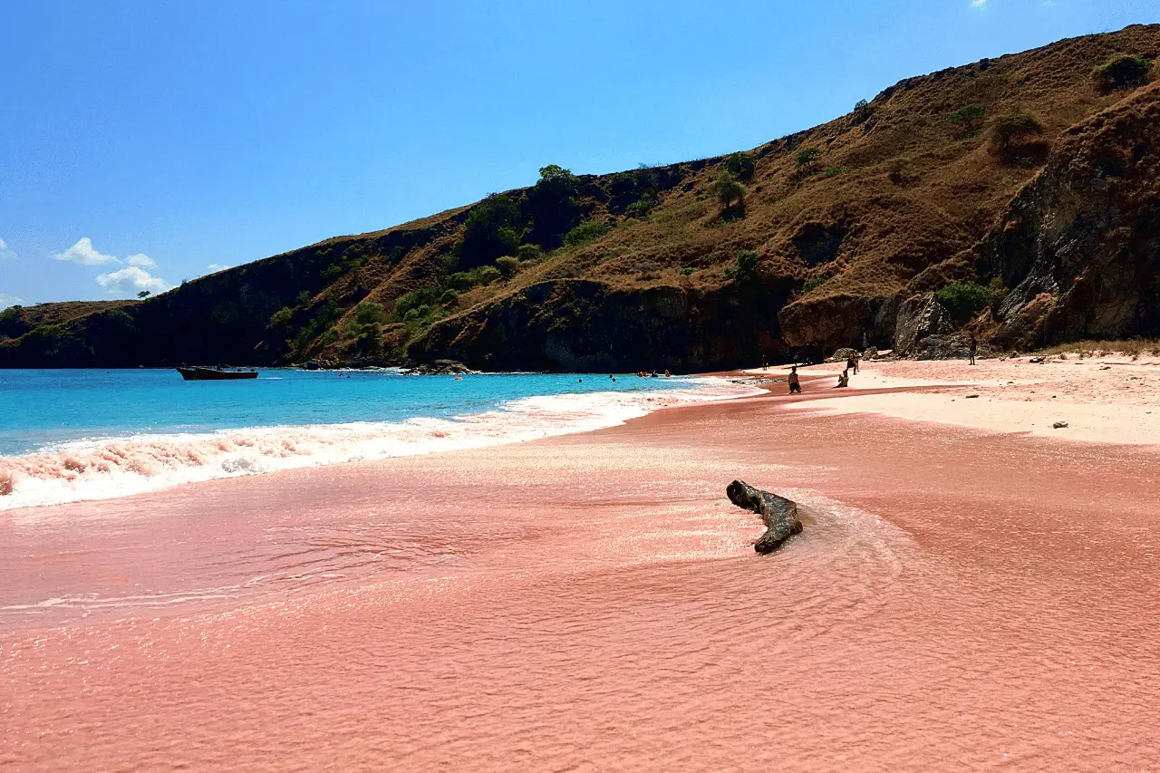 pink beach