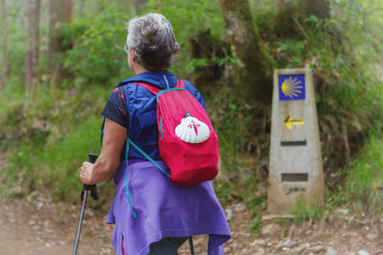 cammino di santiago