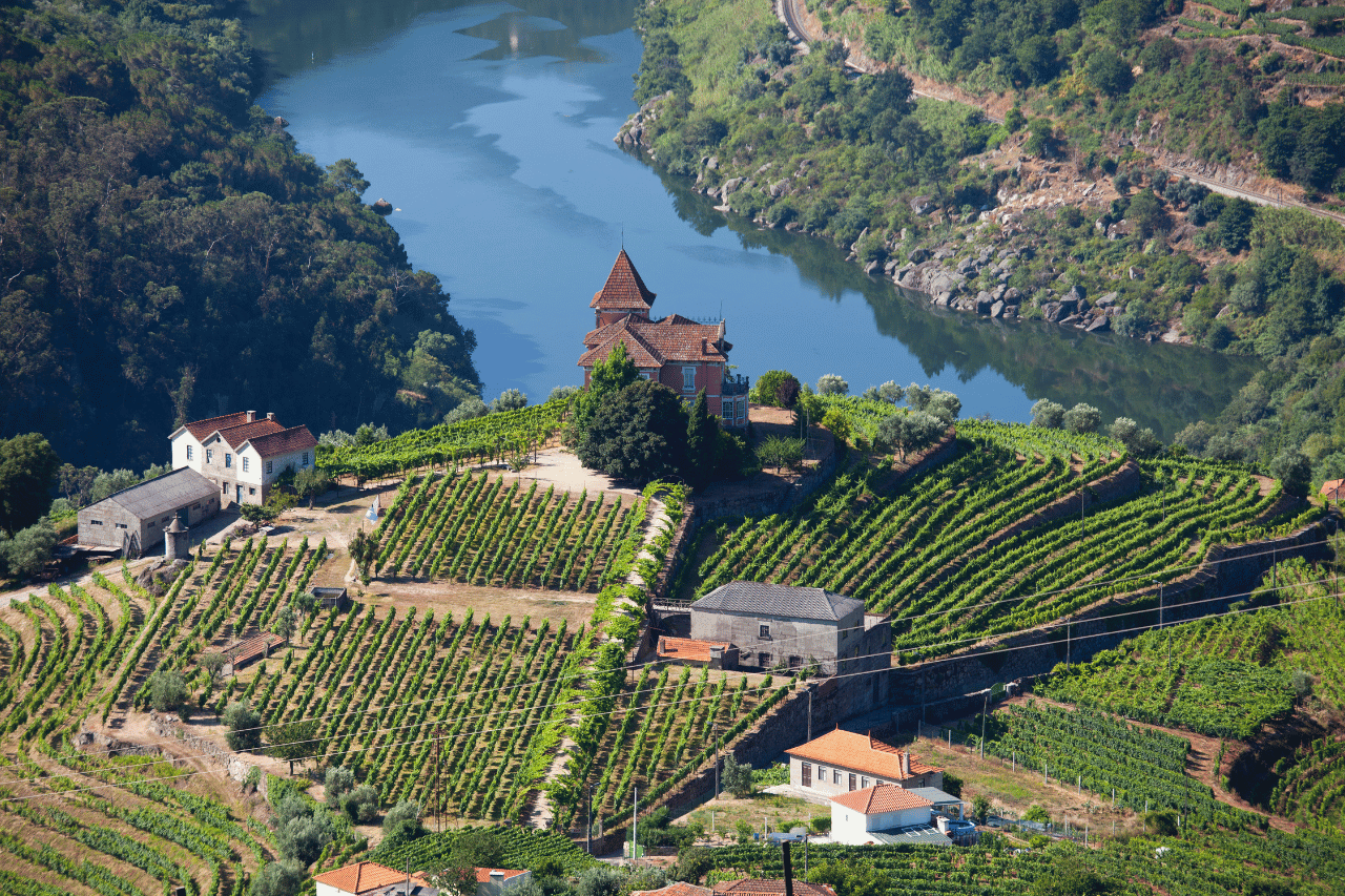 Valle del Douro