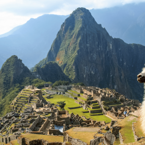 Machu Picchu