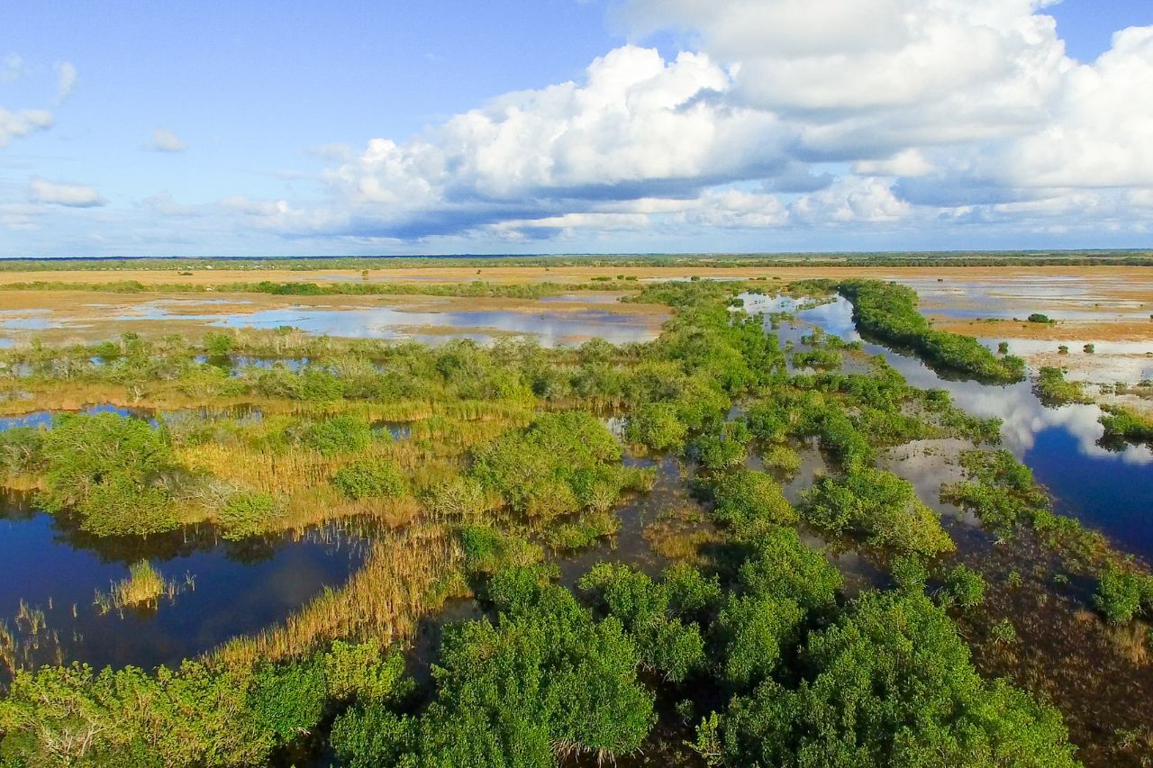 Everglades