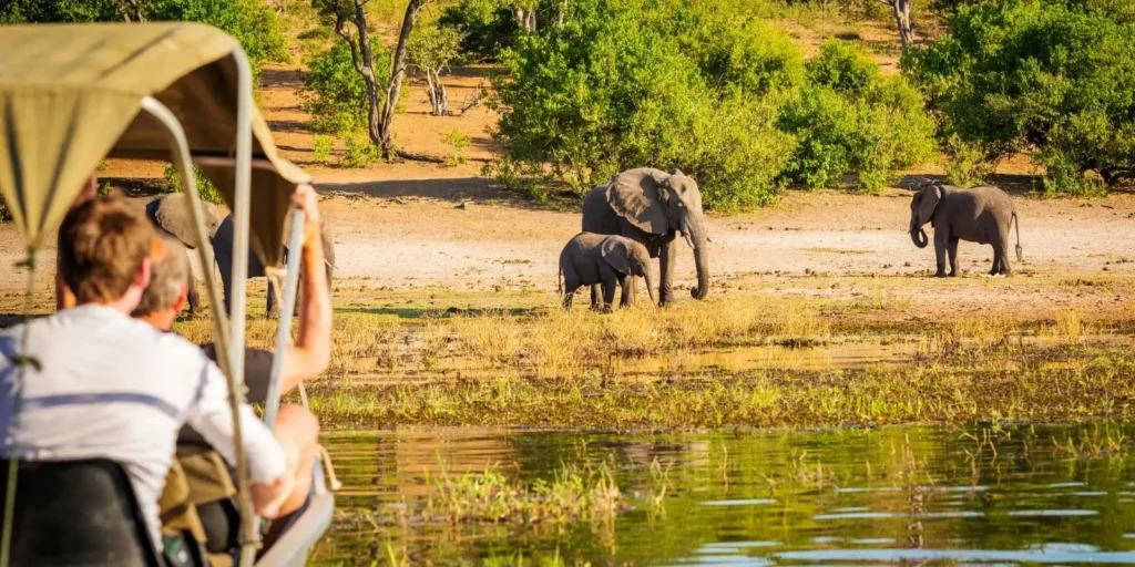 Safari privato Africa