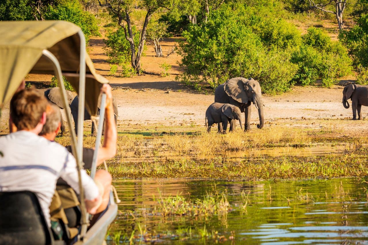 safari padre e figlio 