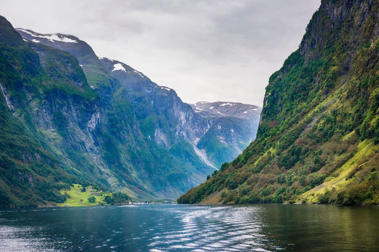 fiordo norvegese 